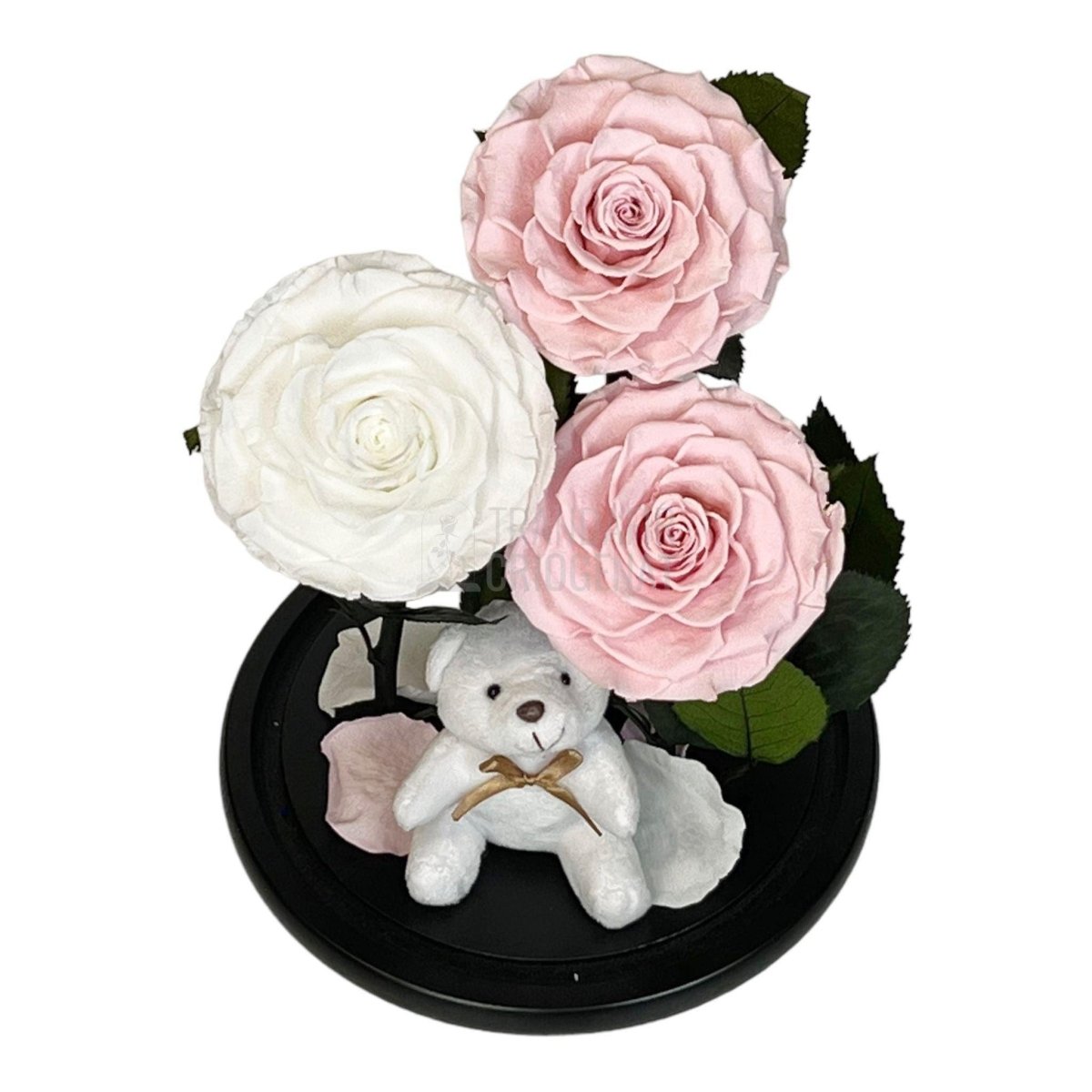 3 Trandafiri Criogenati mari, 2 roz, 1 alb, cupola cu ursulet - Trandafir-Criogenat.ro