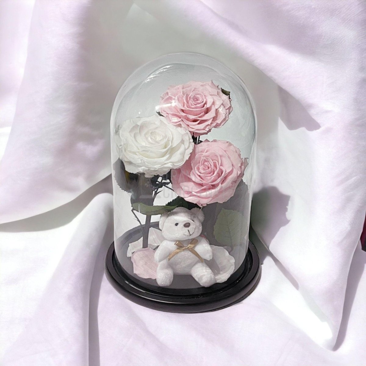 3 Trandafiri Criogenati mari, 2 roz, 1 alb, cupola cu ursulet - Trandafir-Criogenat.ro