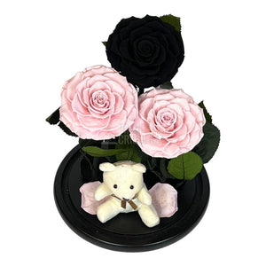 3 Trandafiri Criogenati mari, 2 roz, 1 negru, cupola cu ursulet - Trandafir-Criogenat.ro