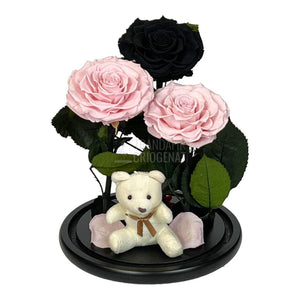 3 Trandafiri Criogenati mari, 2 roz, 1 negru, cupola cu ursulet - Trandafir-Criogenat.ro