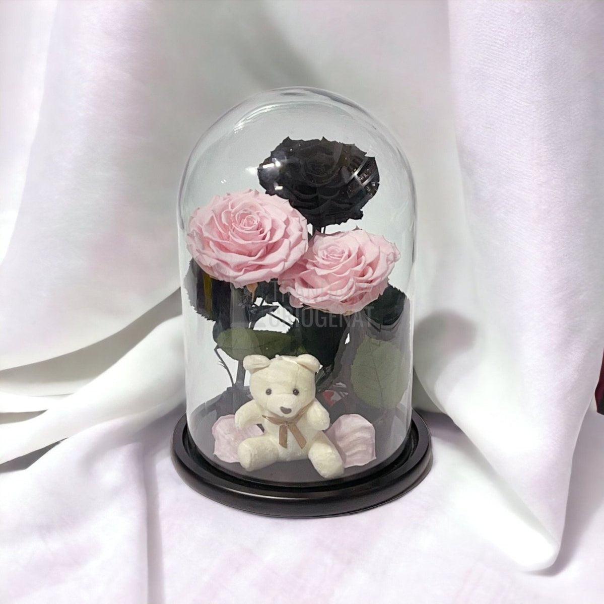 3 Trandafiri Criogenati mari, 2 roz, 1 negru, cupola cu ursulet - Trandafir-Criogenat.ro