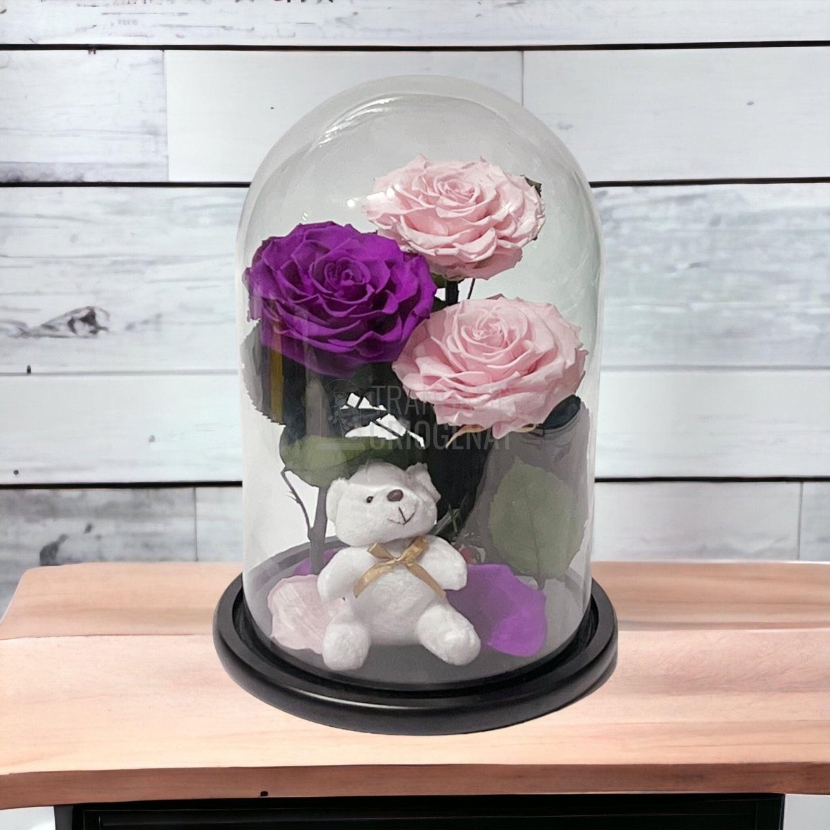 3 Trandafiri Criogenati mari, 2 roz, 1 purpuriu, cupola ursulet - Trandafir-Criogenat.ro
