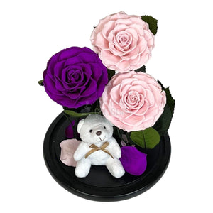 3 Trandafiri Criogenati mari, 2 roz, 1 purpuriu, cupola ursulet - Trandafir-Criogenat.ro