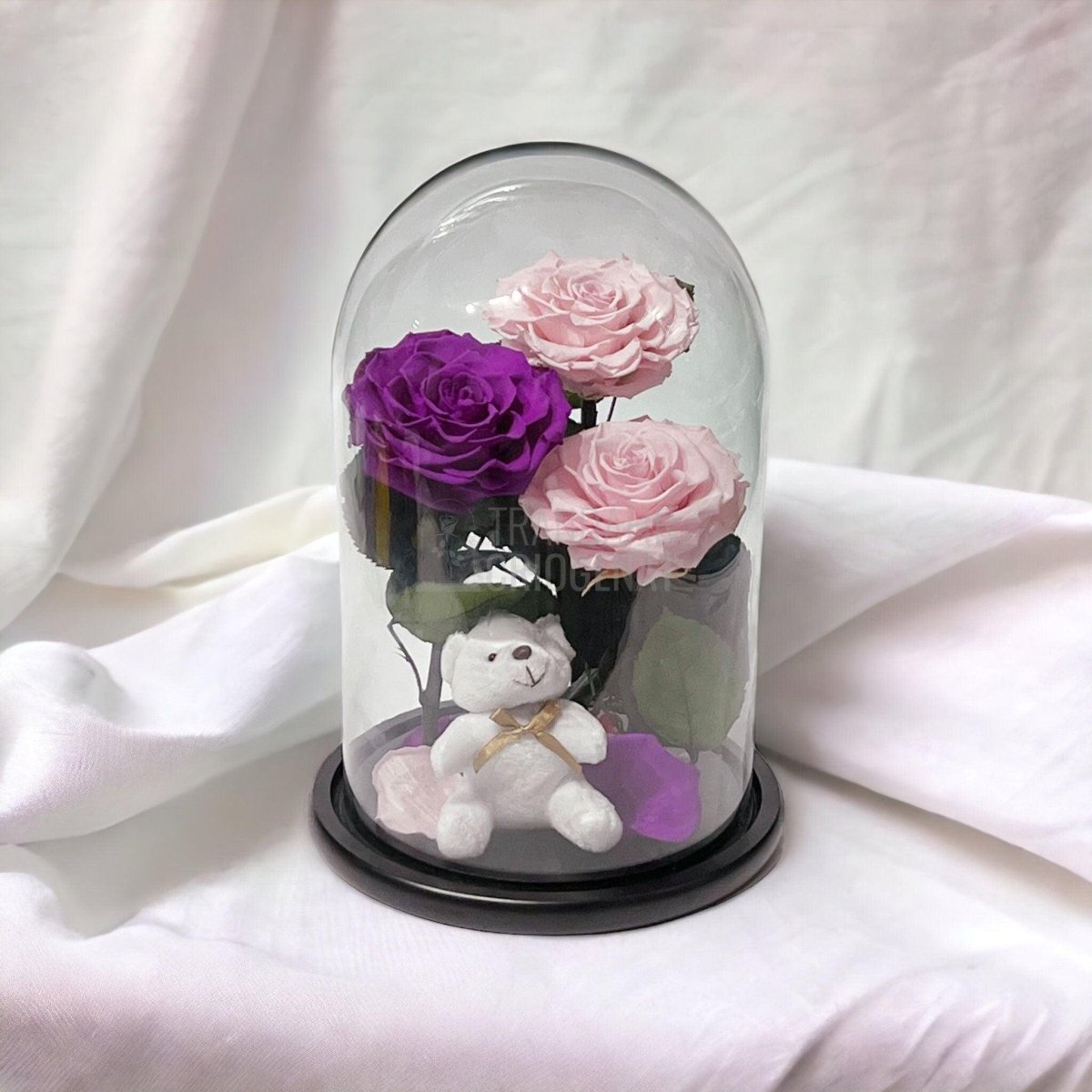 3 Trandafiri Criogenati mari, 2 roz, 1 purpuriu, cupola ursulet - Trandafir-Criogenat.ro