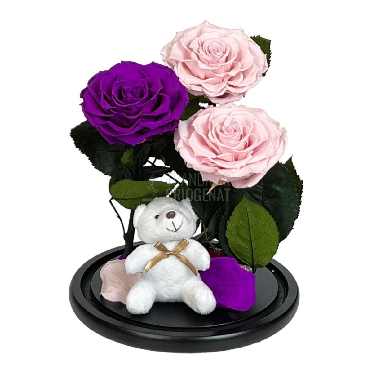 3 Trandafiri Criogenati mari, 2 roz, 1 purpuriu, cupola ursulet - Trandafir-Criogenat.ro