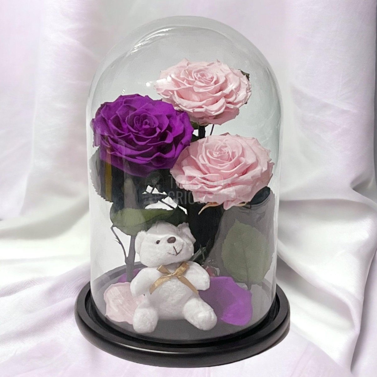 3 Trandafiri Criogenati mari, 2 roz, 1 purpuriu, cupola ursulet - Trandafir-Criogenat.ro