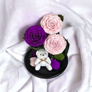 3 Trandafiri Criogenati mari, 2 roz, 1 purpuriu, cupola ursulet - Trandafir-Criogenat.ro