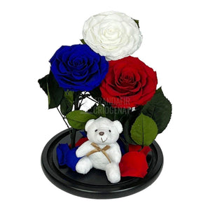 3 Trandafiri Criogenati mari, alb, albastru, rosu, cupola ursulet - Trandafir-Criogenat.ro