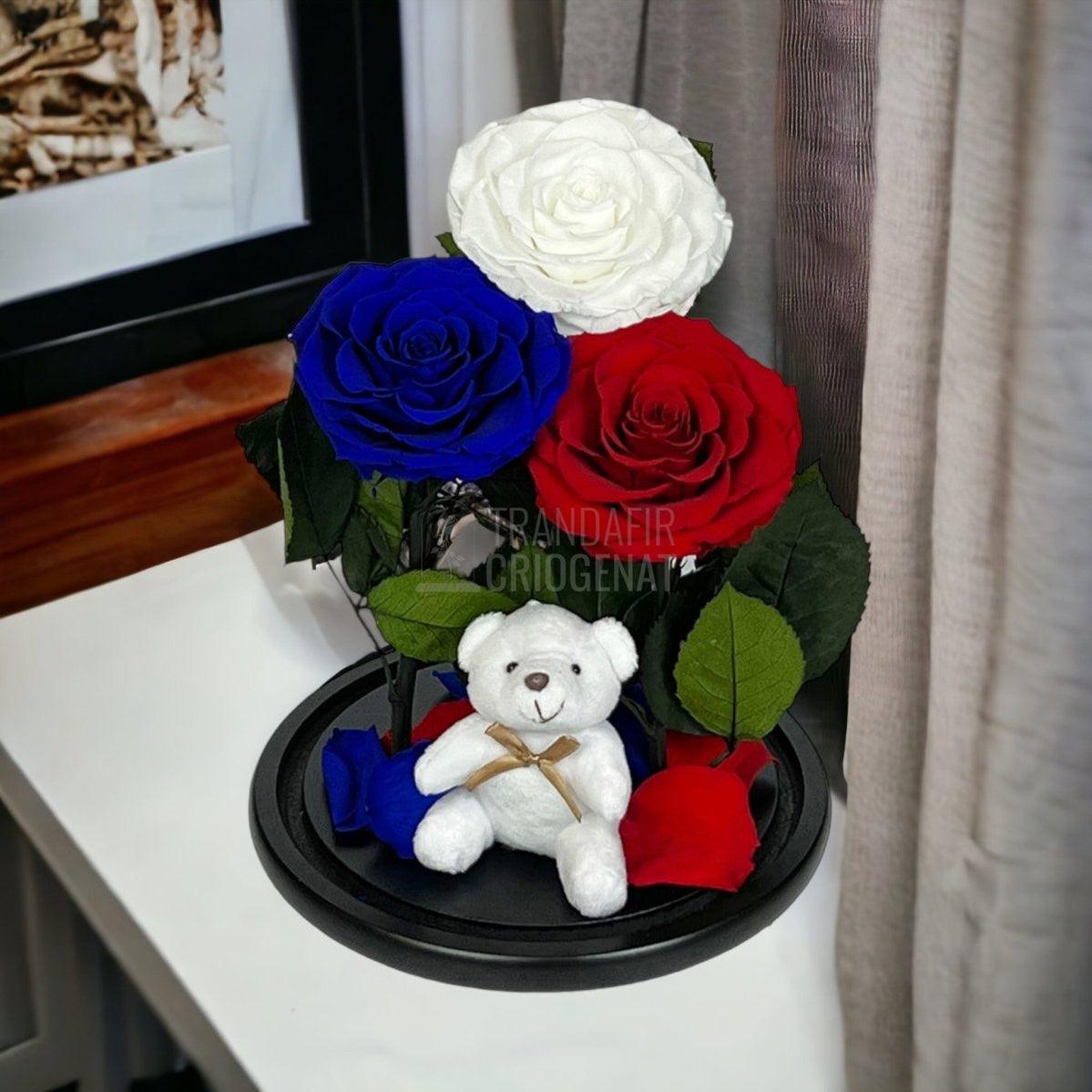 3 Trandafiri Criogenati mari, alb, albastru, rosu, cupola ursulet - Trandafir-Criogenat.ro