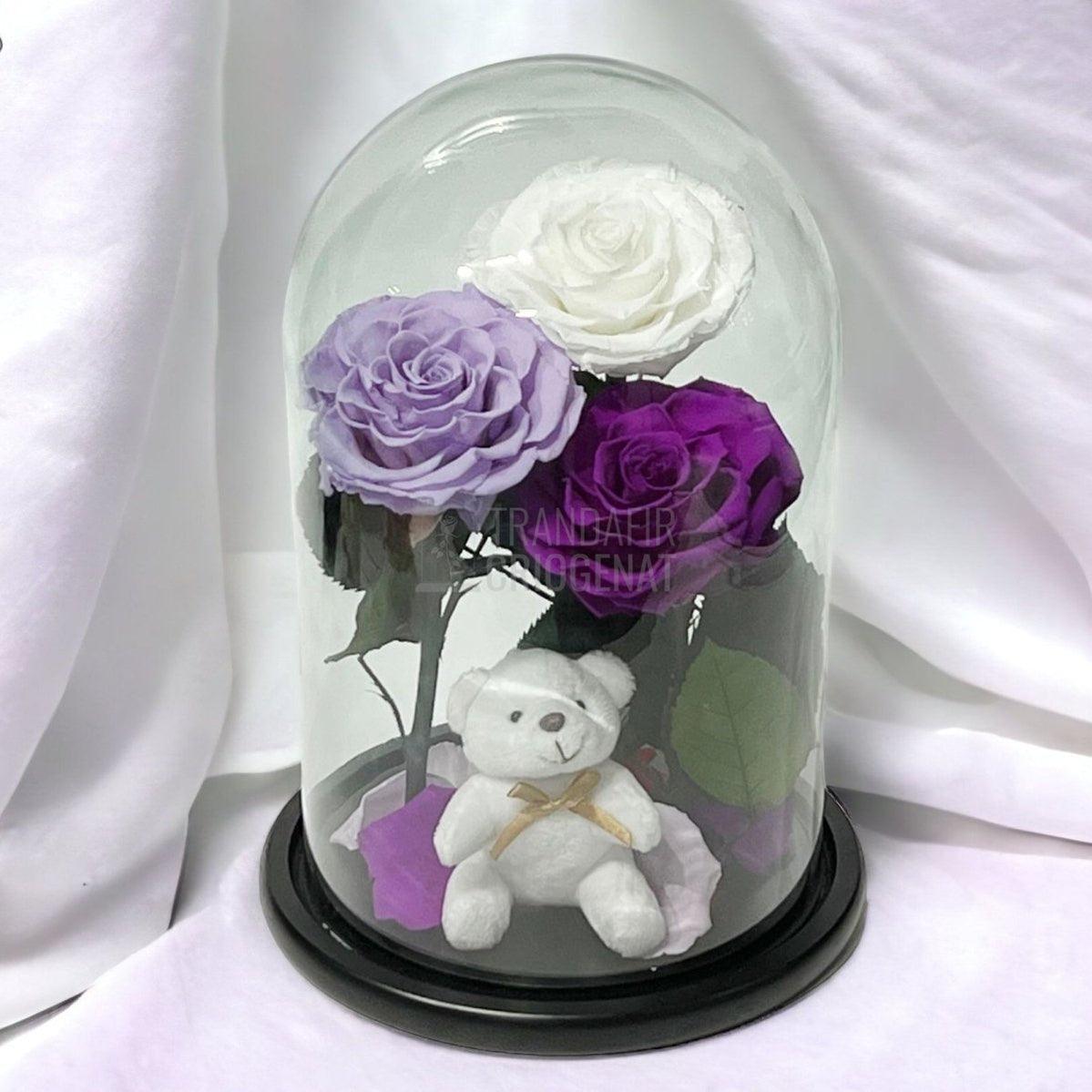 3 Trandafiri Criogenati mari, alb, lila, purpuriu, cupola ursulet - Trandafir-Criogenat.ro