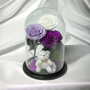 3 Trandafiri Criogenati mari, alb, lila, purpuriu, cupola ursulet - Trandafir-Criogenat.ro