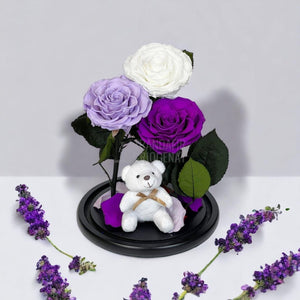 3 Trandafiri Criogenati mari, alb, lila, purpuriu, cupola ursulet - Trandafir-Criogenat.ro