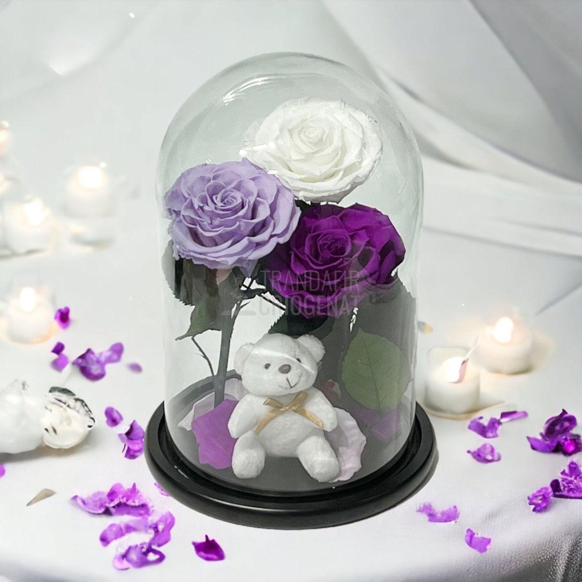 3 Trandafiri Criogenati mari, alb, lila, purpuriu, cupola ursulet - Trandafir-Criogenat.ro