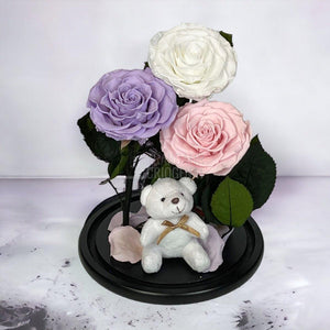 3 Trandafiri Criogenati mari, alb, lila, roz, cupola ursulet - Trandafir-Criogenat.ro