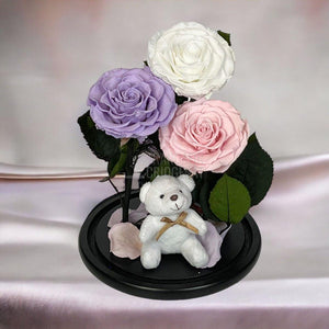 3 Trandafiri Criogenati mari, alb, lila, roz, cupola ursulet - Trandafir-Criogenat.ro