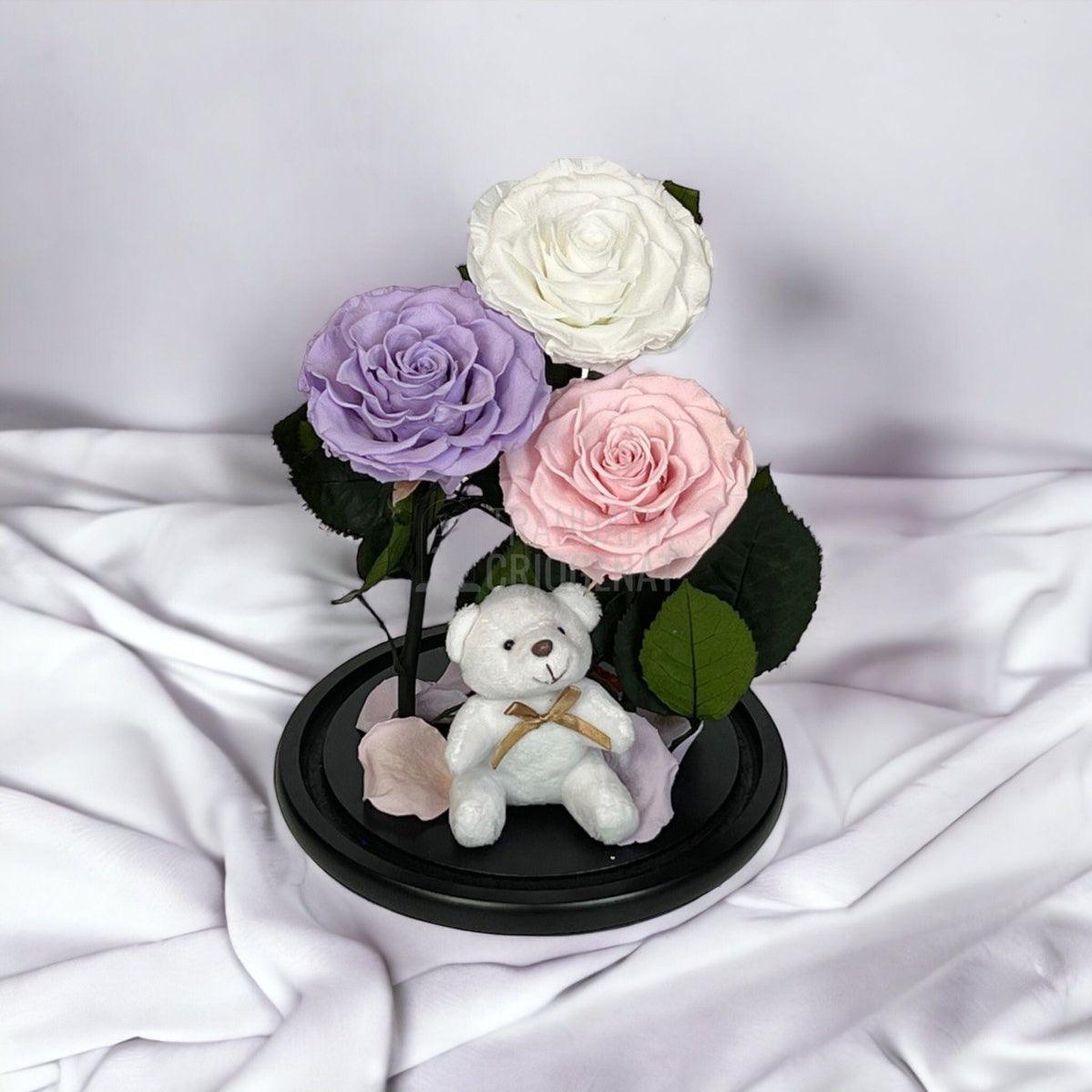 3 Trandafiri Criogenati mari, alb, lila, roz, cupola ursulet - Trandafir-Criogenat.ro