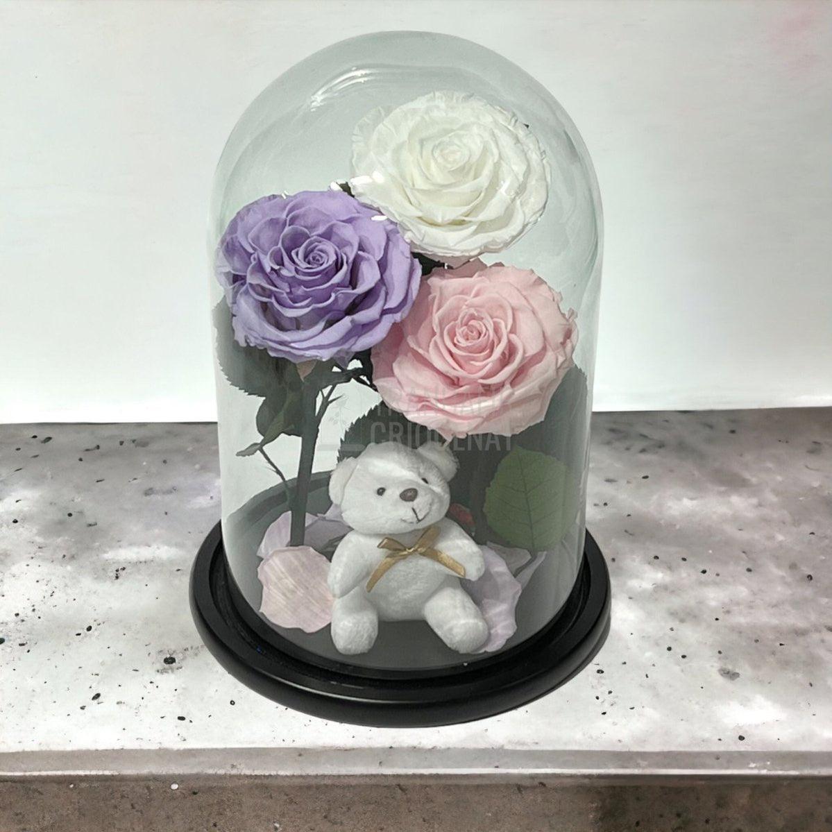 3 Trandafiri Criogenati mari, alb, lila, roz, cupola ursulet - Trandafir-Criogenat.ro