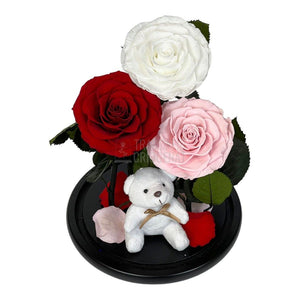 3 Trandafiri Criogenati mari, alb, rosu, roz, cupola ursulet - Trandafir-Criogenat.ro