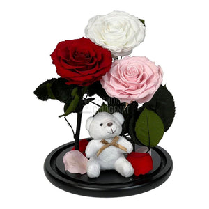 3 Trandafiri Criogenati mari, alb, rosu, roz, cupola ursulet - Trandafir-Criogenat.ro