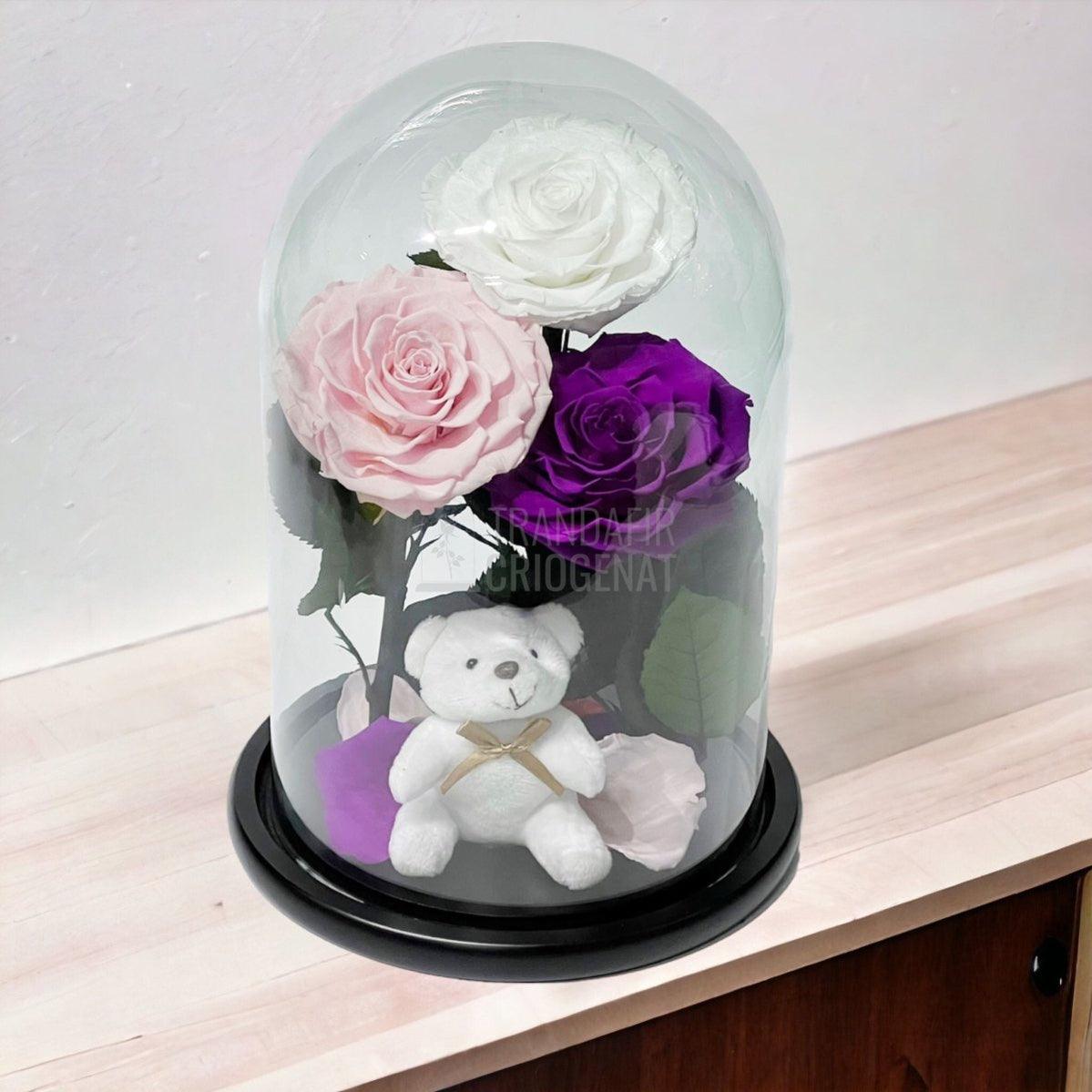 3 Trandafiri Criogenati mari, alb, roz, purpuriu, cupola ursulet - Trandafir-Criogenat.ro