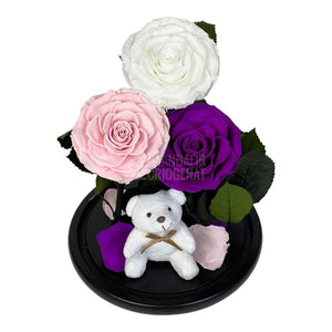 3 Trandafiri Criogenati mari, alb, roz, purpuriu, cupola ursulet - Trandafir-Criogenat.ro
