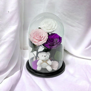 3 Trandafiri Criogenati mari, alb, roz, purpuriu, cupola ursulet - Trandafir-Criogenat.ro