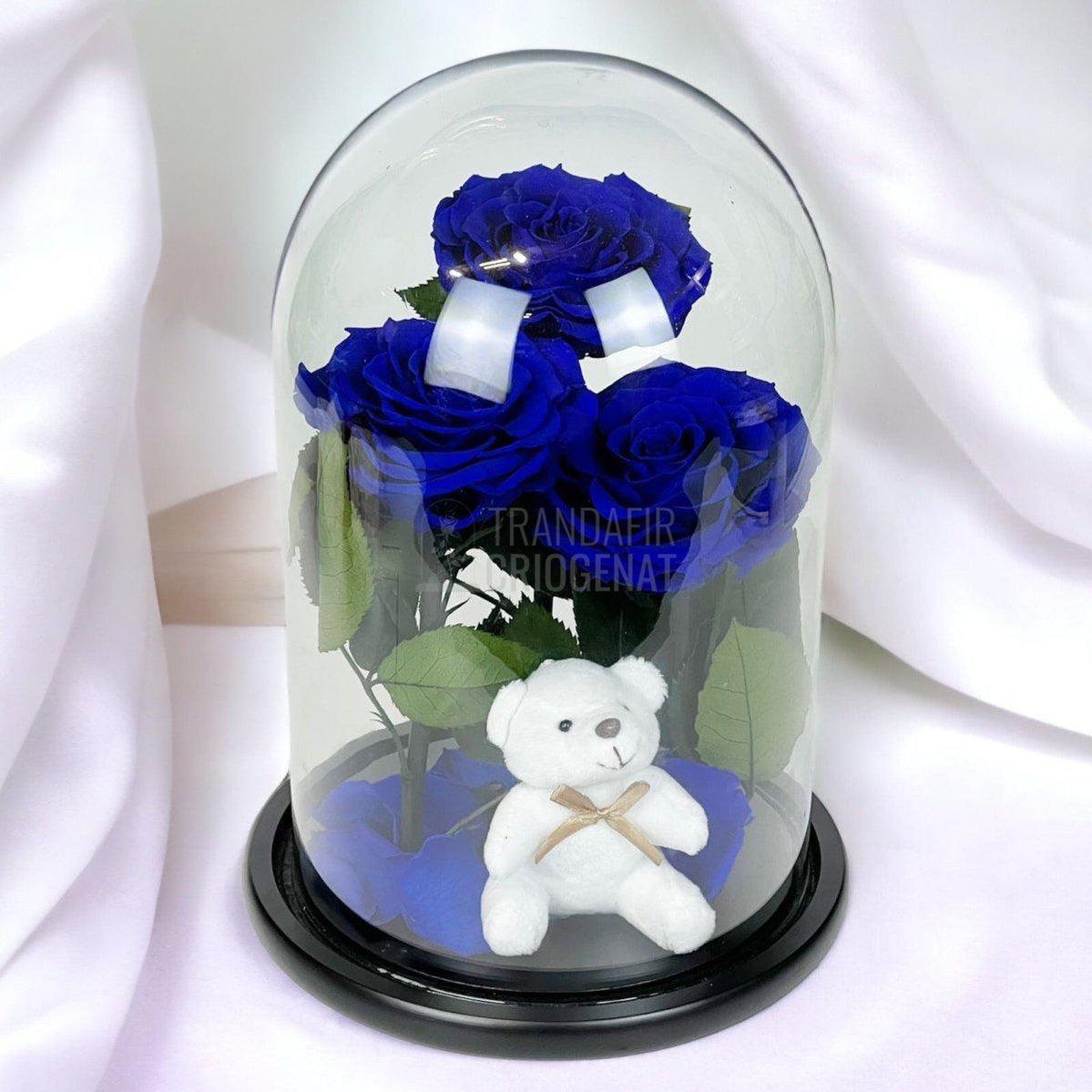 3 Trandafiri Criogenati mari albastrii in cupola, cu ursulet - Trandafir-Criogenat.ro