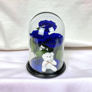 3 Trandafiri Criogenati mari albastrii in cupola, cu ursulet - Trandafir-Criogenat.ro