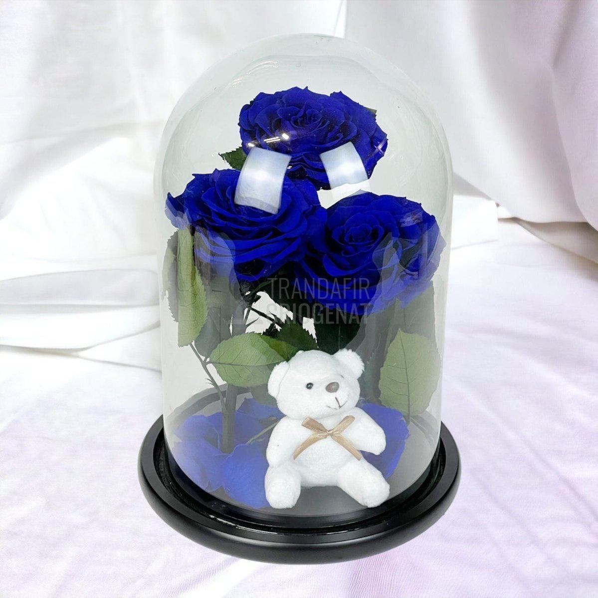3 Trandafiri Criogenati mari albastrii in cupola, cu ursulet - Trandafir-Criogenat.ro