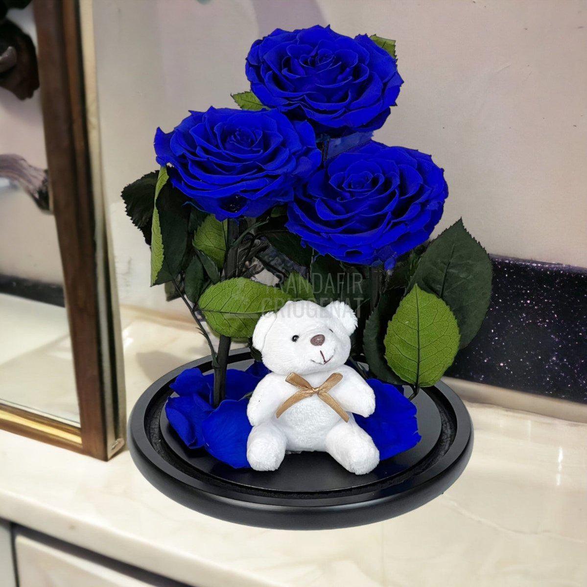 3 Trandafiri Criogenati mari albastrii in cupola, cu ursulet - Trandafir-Criogenat.ro