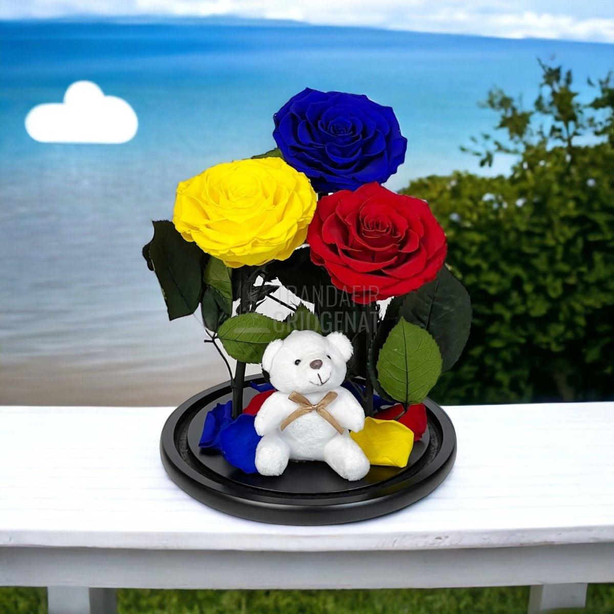 3 Trandafiri Criogenati mari, albastru, galben, rosu, cupola ursulet - Trandafir-Criogenat.ro