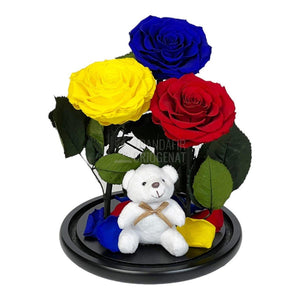 3 Trandafiri Criogenati mari, albastru, galben, rosu, cupola ursulet - Trandafir-Criogenat.ro