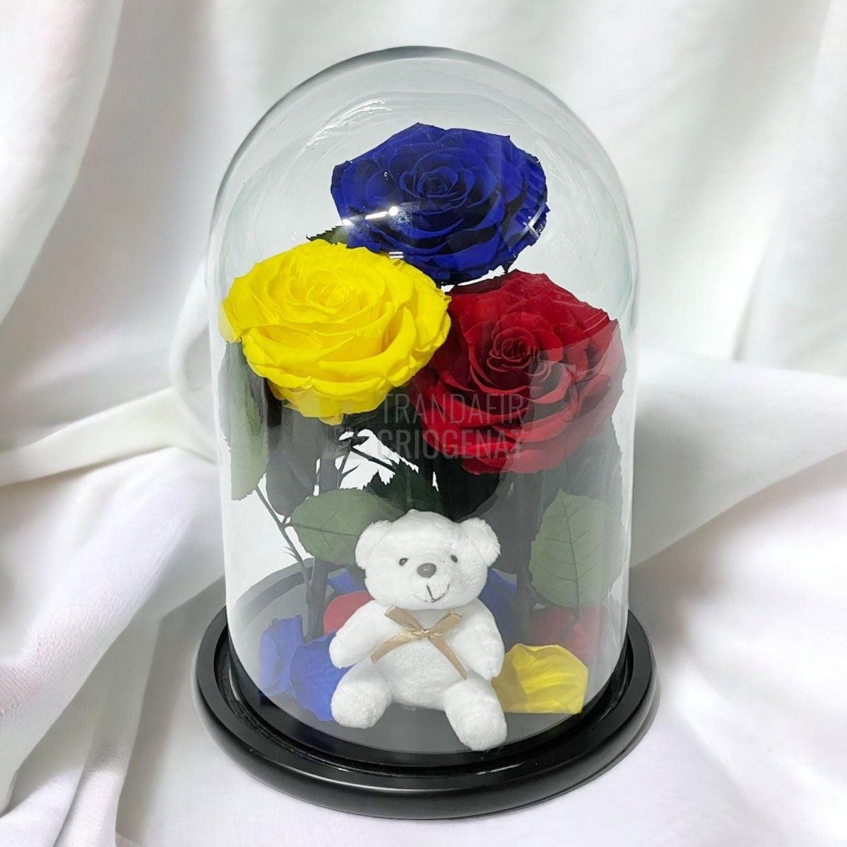 3 Trandafiri Criogenati mari, albastru, galben, rosu, cupola ursulet - Trandafir-Criogenat.ro