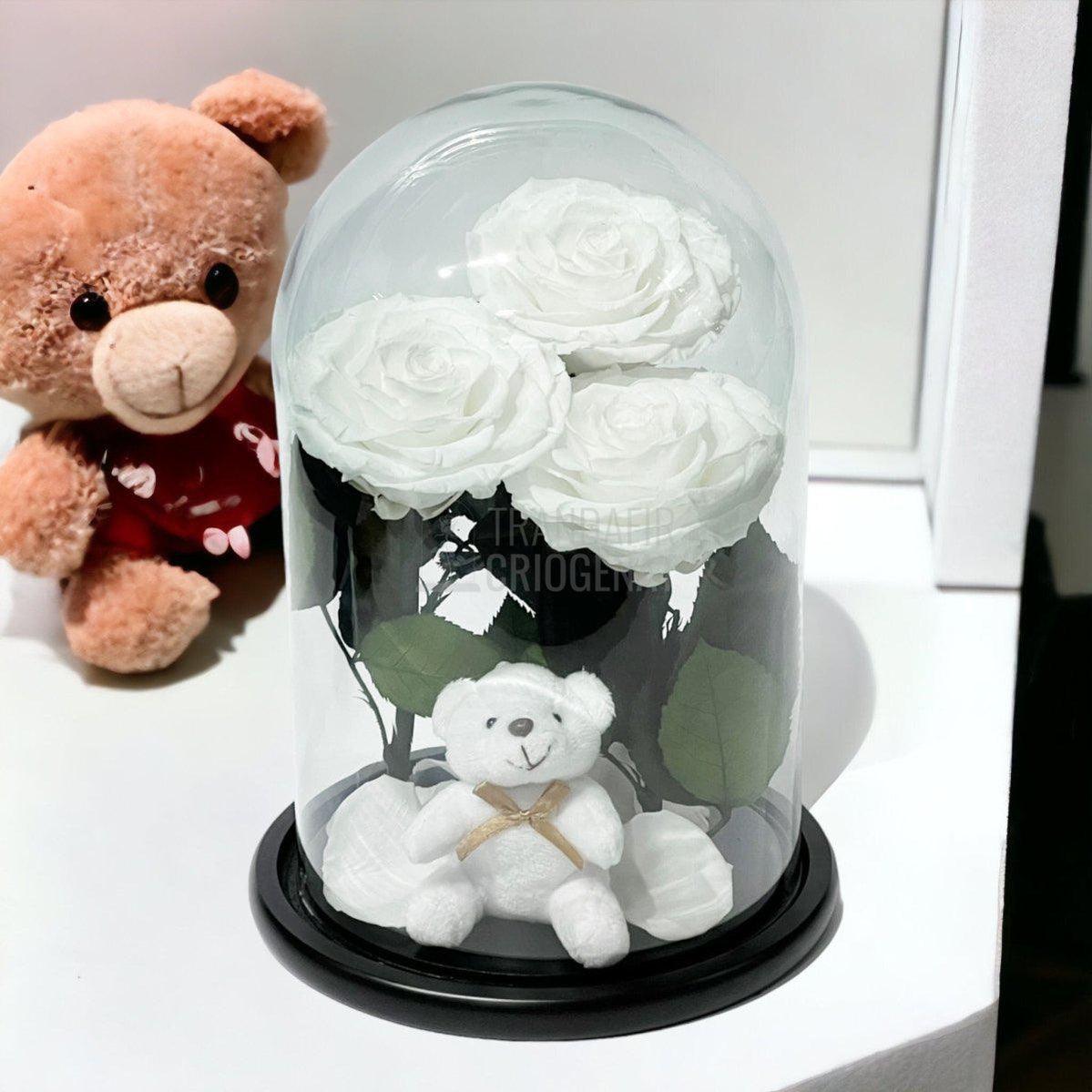 3 Trandafiri Criogenati mari albi in cupola sticla, cu ursulet - Trandafir-Criogenat.ro