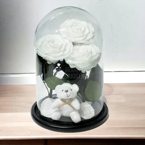 3 Trandafiri Criogenati mari albi in cupola sticla, cu ursulet - Trandafir-Criogenat.ro