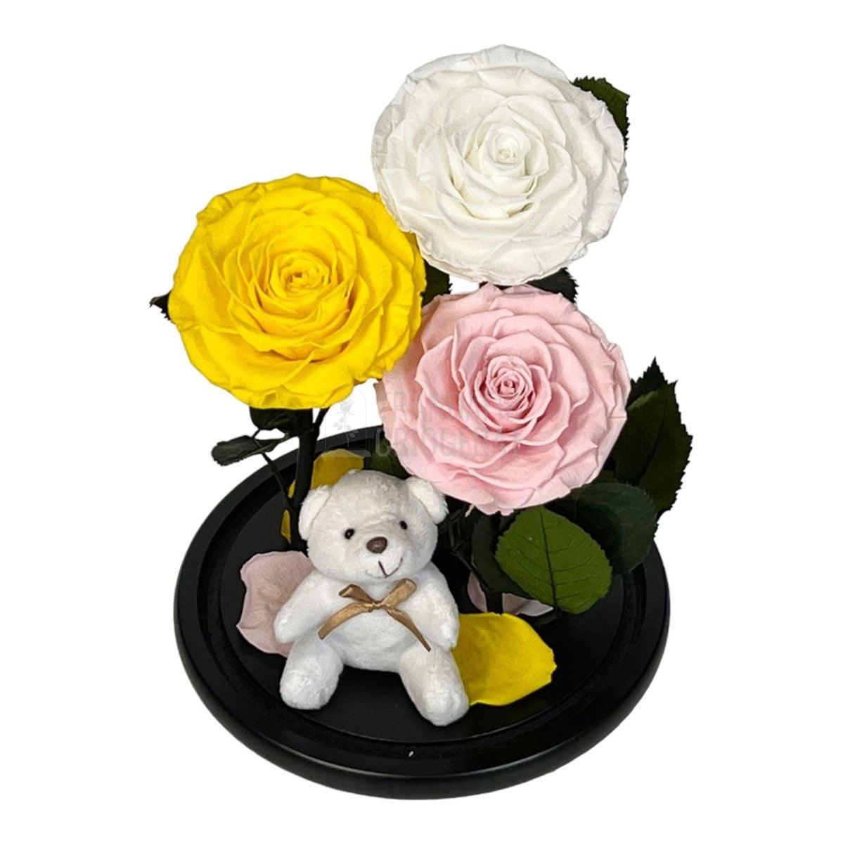 3 Trandafiri Criogenati mari, galben, alb, roz, cupola ursulet - Trandafir-Criogenat.ro