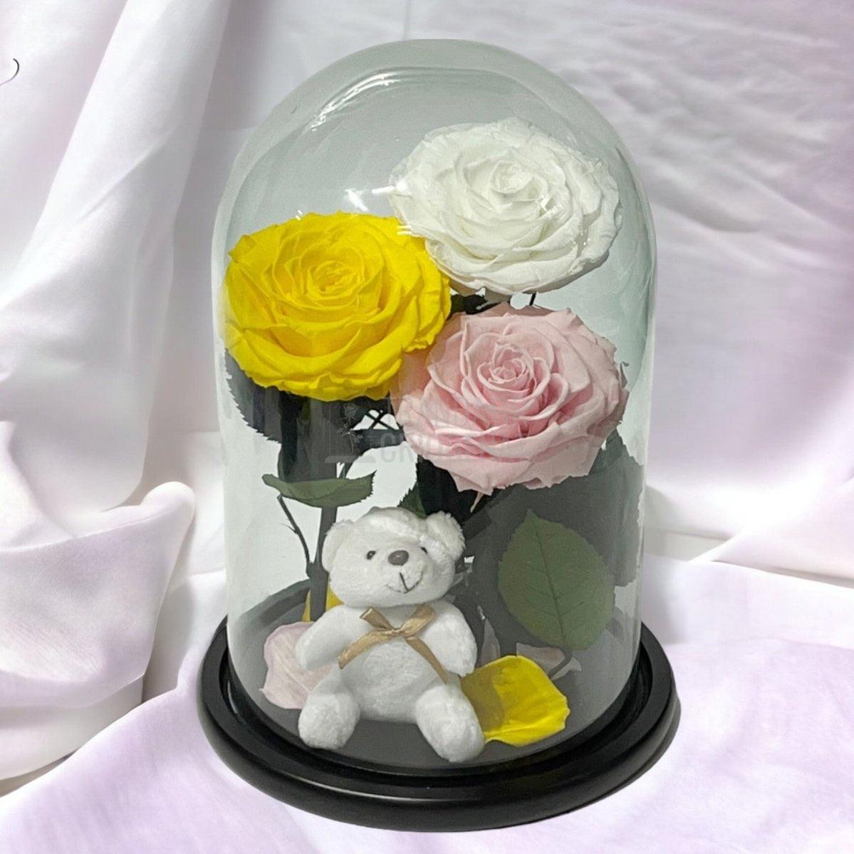 3 Trandafiri Criogenati mari, galben, alb, roz, cupola ursulet - Trandafir-Criogenat.ro