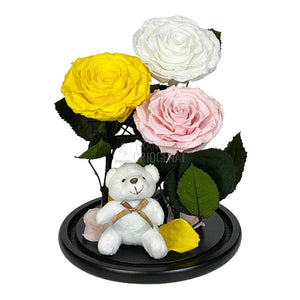 3 Trandafiri Criogenati mari, galben, alb, roz, cupola ursulet - Trandafir-Criogenat.ro