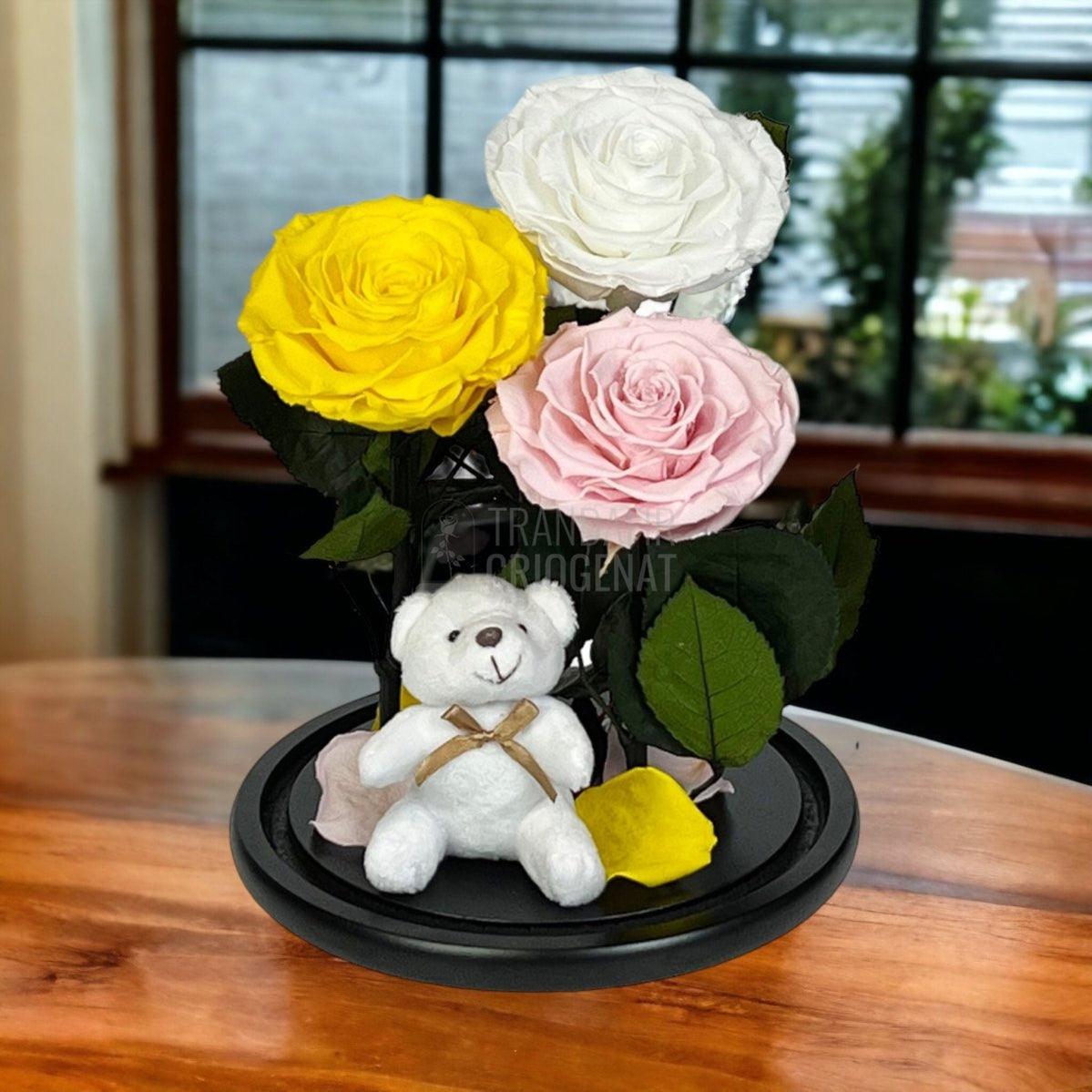 3 Trandafiri Criogenati mari, galben, alb, roz, cupola ursulet - Trandafir-Criogenat.ro