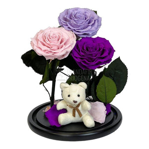 3 Trandafiri Criogenati mari, lila, roz, purpuriu, cupola ursulet - Trandafir-Criogenat.ro