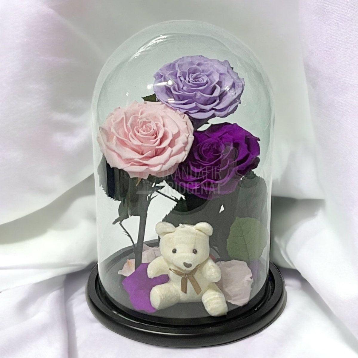 3 Trandafiri Criogenati mari, lila, roz, purpuriu, cupola ursulet - Trandafir-Criogenat.ro