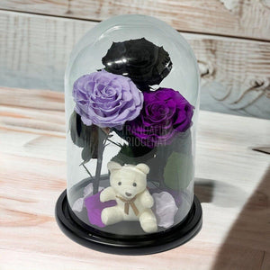 3 Trandafiri Criogenati mari, negru, lila, purpuriu, cupola ursulet - Trandafir-Criogenat.ro