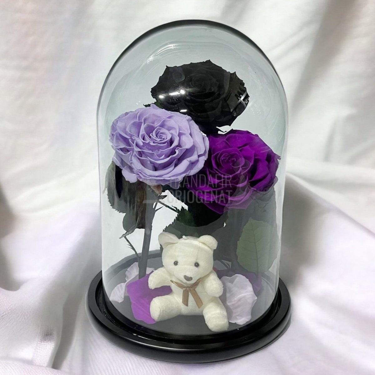 3 Trandafiri Criogenati mari, negru, lila, purpuriu, cupola ursulet - Trandafir-Criogenat.ro