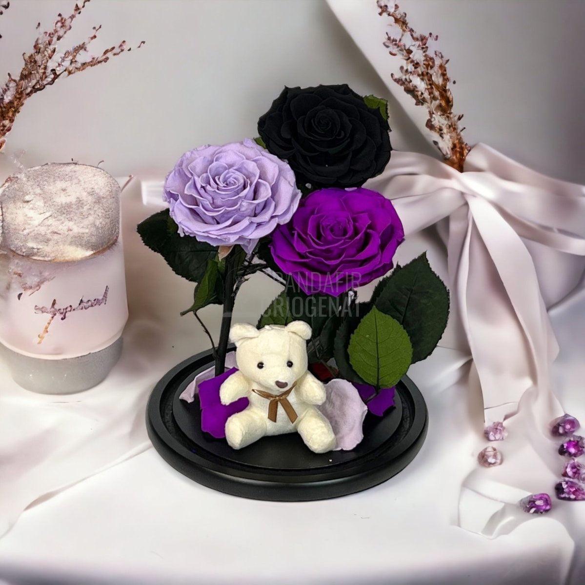 3 Trandafiri Criogenati mari, negru, lila, purpuriu, cupola ursulet - Trandafir-Criogenat.ro