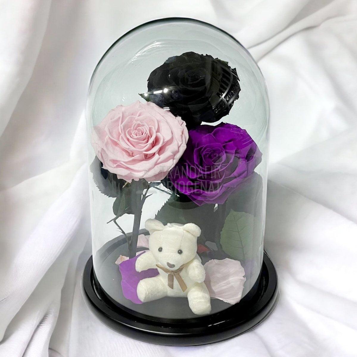 3 Trandafiri Criogenati mari, negru, roz, purpuriu, cupola ursulet - Trandafir-Criogenat.ro