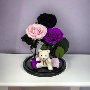 3 Trandafiri Criogenati mari, negru, roz, purpuriu, cupola ursulet - Trandafir-Criogenat.ro