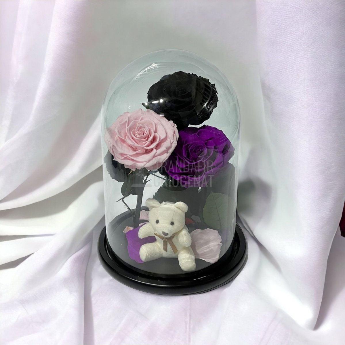 3 Trandafiri Criogenati mari, negru, roz, purpuriu, cupola ursulet - Trandafir-Criogenat.ro