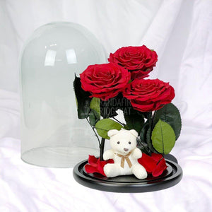 3 Trandafiri Criogenati mari rosii in cupola sticla, cu ursulet - Trandafir-Criogenat.ro