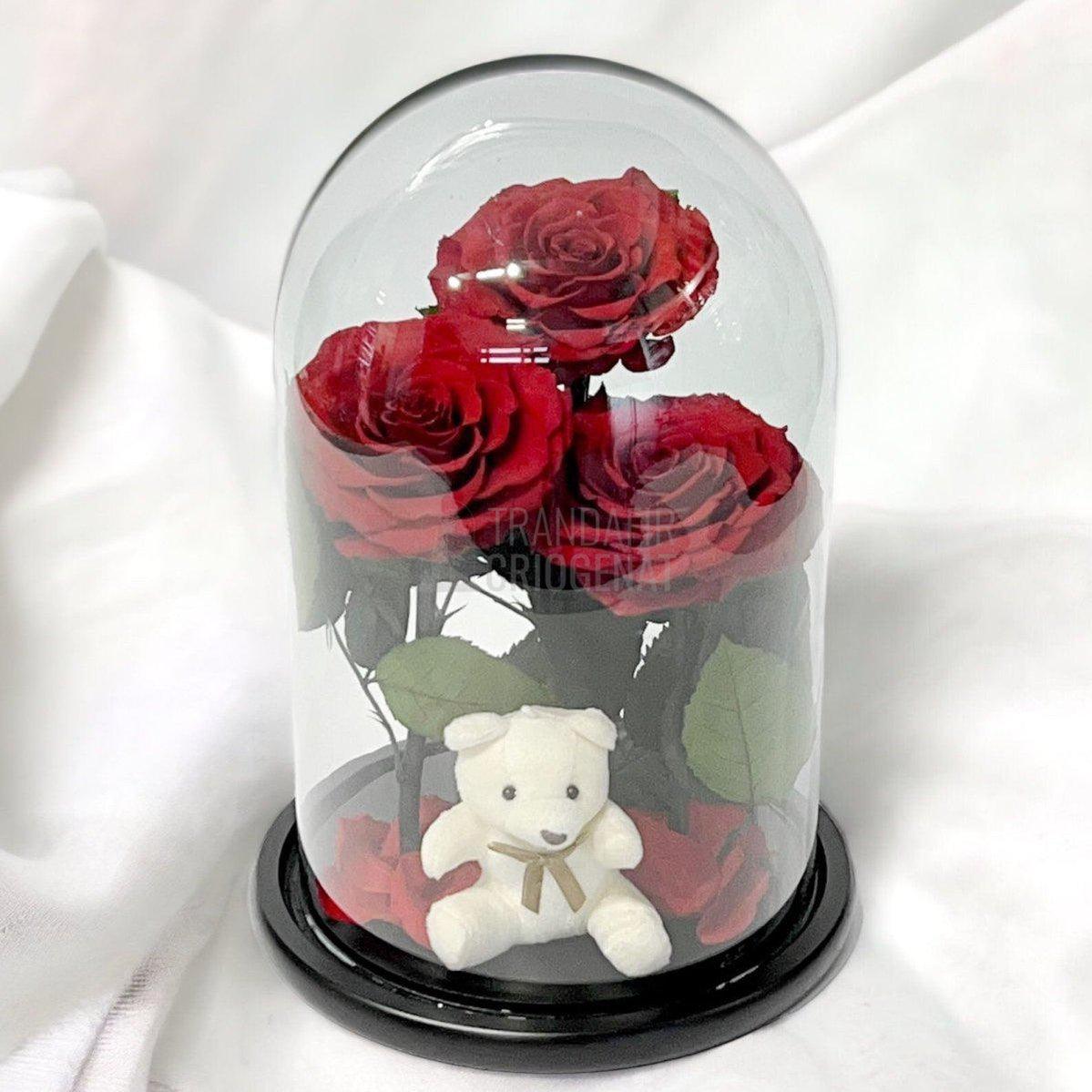 3 Trandafiri Criogenati mari rosii in cupola sticla, cu ursulet - Trandafir-Criogenat.ro