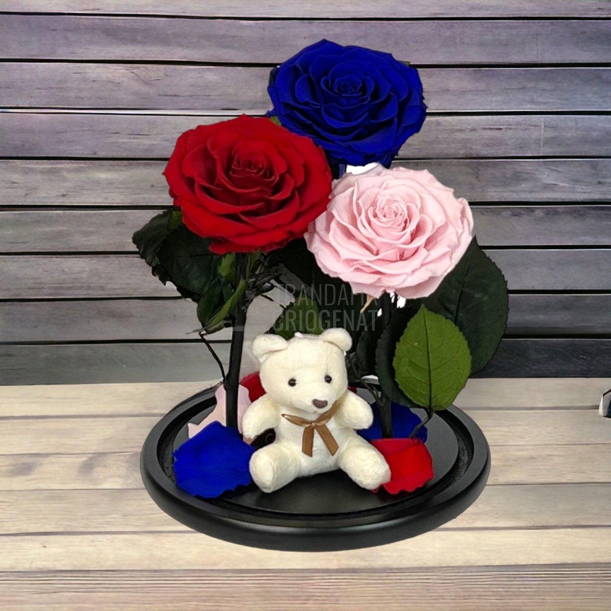3 Trandafiri Criogenati mari, rosu, albastru, roz, cupola ursulet - Trandafir-Criogenat.ro